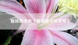 魅族新手机（魅族新手机发布）