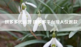 拼多多代运营 拼多多平台接入仅退款