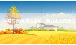 SEO及时查询,精准定位，助力企业高效优化