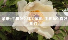 苹果xr手机怎么样（苹果xr手机怎么样好用吗）