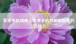 苹果手机划痕（苹果手机划痕和裂痕的区分）