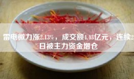 雷电微力涨2.13%，成交额4.43亿元，连续2日被主力资金增仓
