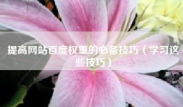 提高网站百度权重的必备技巧（学习这些技巧）