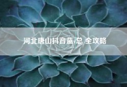 河北唐山抖音蓝v总 全攻略