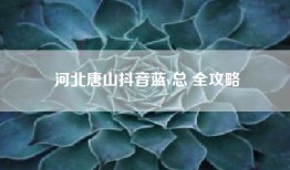 河北唐山抖音蓝v总 全攻略