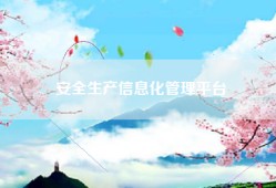安全生产信息化管理平台