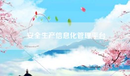 安全生产信息化管理平台
