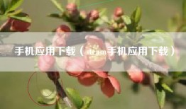 手机应用下载（steam手机应用下载）