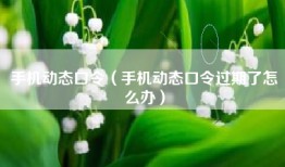 手机动态口令（手机动态口令过期了怎么办）