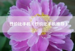 性价比手机（性价比手机推荐）