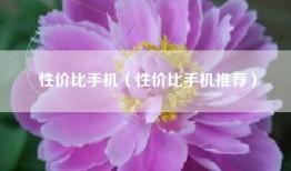 性价比手机（性价比手机推荐）