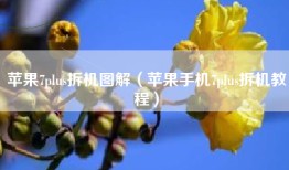 苹果7plus拆机图解（苹果手机7plus拆机教程）