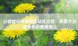 谷歌建站阿里国际站代运营：询盘少没成单有必要继续么