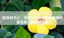 县委副书记、代县长闫欣欣暗访督导创建省级文明县城工作