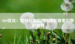 SEO优化：如何让你的网站排在搜索引擎的前列