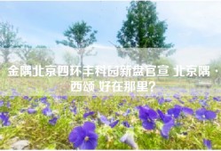 金隅北京四环丰科园新盘官宣 北京隅·西颂 好在那里？