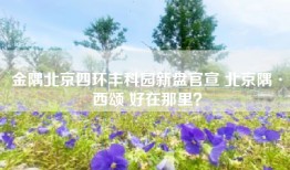 金隅北京四环丰科园新盘官宣 北京隅·西颂 好在那里？
