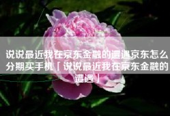 说说最近我在京东金融的遭遇京东怎么分期买手机「说说最近我在京东金融的遭遇」