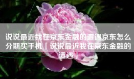 说说最近我在京东金融的遭遇京东怎么分期买手机「说说最近我在京东金融的遭遇」