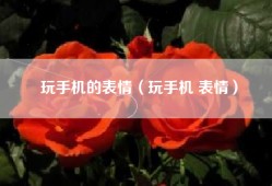 玩手机的表情（玩手机 表情）