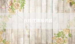 在线代理服务器