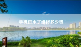 手机进水了维修多少钱