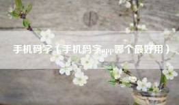 手机码字（手机码字app哪个最好用）