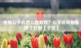 电脑云手机怎么弄教程？云手机电脑版哪个好用【干货】