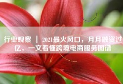 行业观察 ｜ 2021最火风口，月月融资过亿，一文看懂跨境电商服务图谱