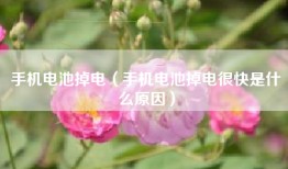手机电池掉电（手机电池掉电很快是什么原因）