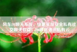 风车IM聊天系统，快速实现安全私有社交聊天软件，IM即时通讯私有云
