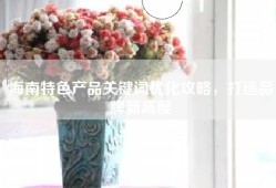 海南特色产品关键词优化攻略，打造品牌新高度