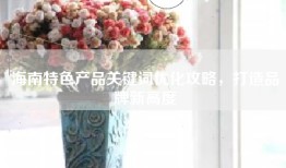 海南特色产品关键词优化攻略，打造品牌新高度