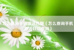 怎么查询手机激活日期（怎么查询手机激活日期查询）