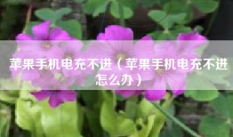 苹果手机电充不进（苹果手机电充不进怎么办）