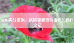 SEM 实战范例，谈谈百度竞价推广的操作之法