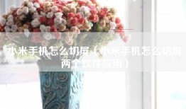 小米手机怎么切屏（小米手机怎么切屏两个软件应用）