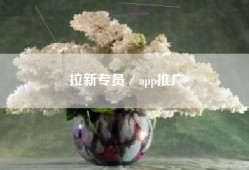 拉新专员／app推广