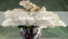 拉新专员／app推广