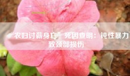 “农妇讨薪身亡”死因查明:钝性暴力致颈部损伤