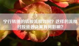 宁行转债的转股流程如何？这样的流程对投资者决策有何影响？