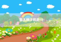 鲁大师手机跑分