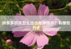 拼多多砍价怎么出小程序链接？有哪些方式