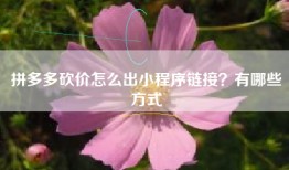 拼多多砍价怎么出小程序链接？有哪些方式