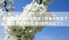 苹果手机丢了怎么查找（苹果手机丢了怎么查找手机位置id密码忘记了）