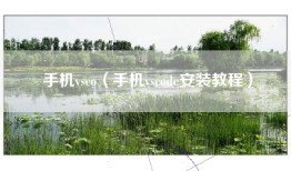手机vsco（手机vscode安装教程）