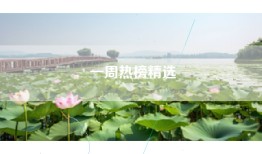 一周热榜精选