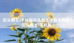 街头霸王4手机版街头霸王下载手机版「街头霸王4手机版」