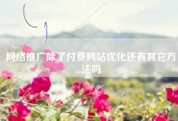 网络推广除了付费网站优化还有其它方法吗