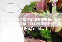 轻松更换手机壁纸的详细步骤与小贴士怎么换手机壁纸「轻松更换手机壁纸的详细步骤与小贴士」